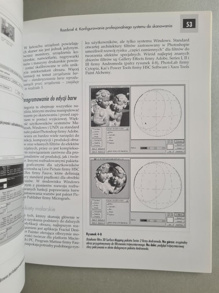 Skanowanie dla profesjonalistów - Książka