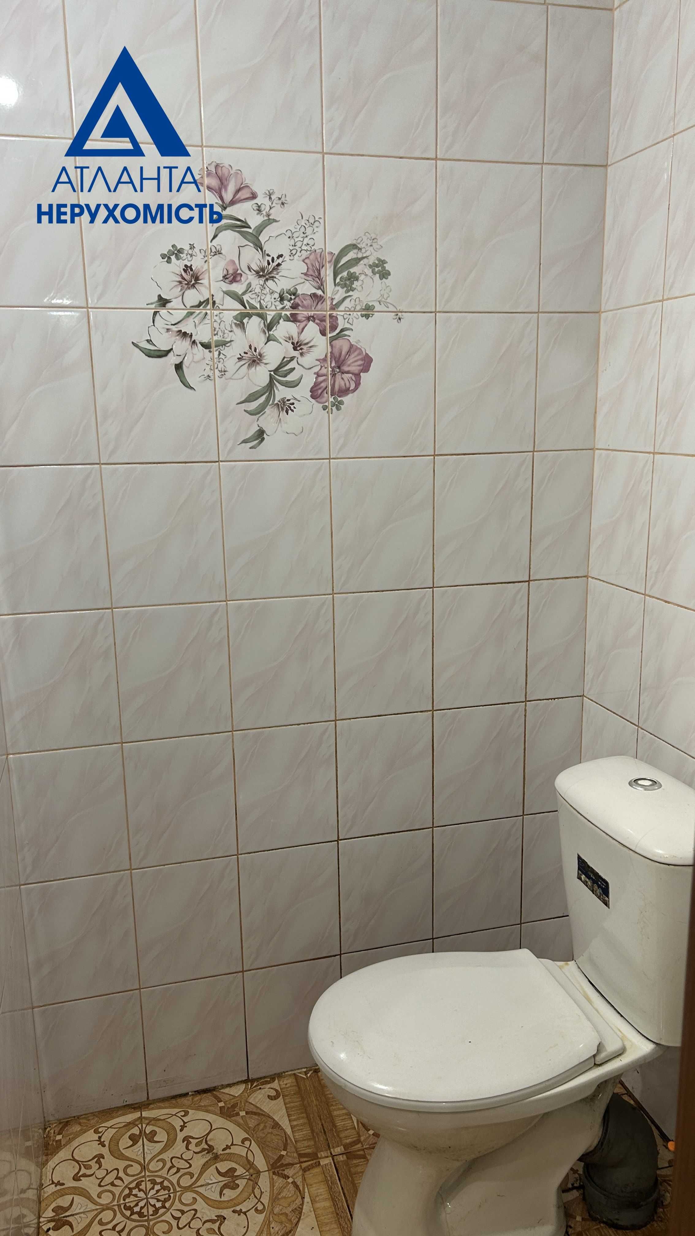 Дві суміжні ділянки 39 сотих з будинком в Липинах, вулиця Шевченка