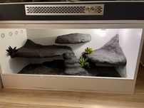 Terrarium dla agamy