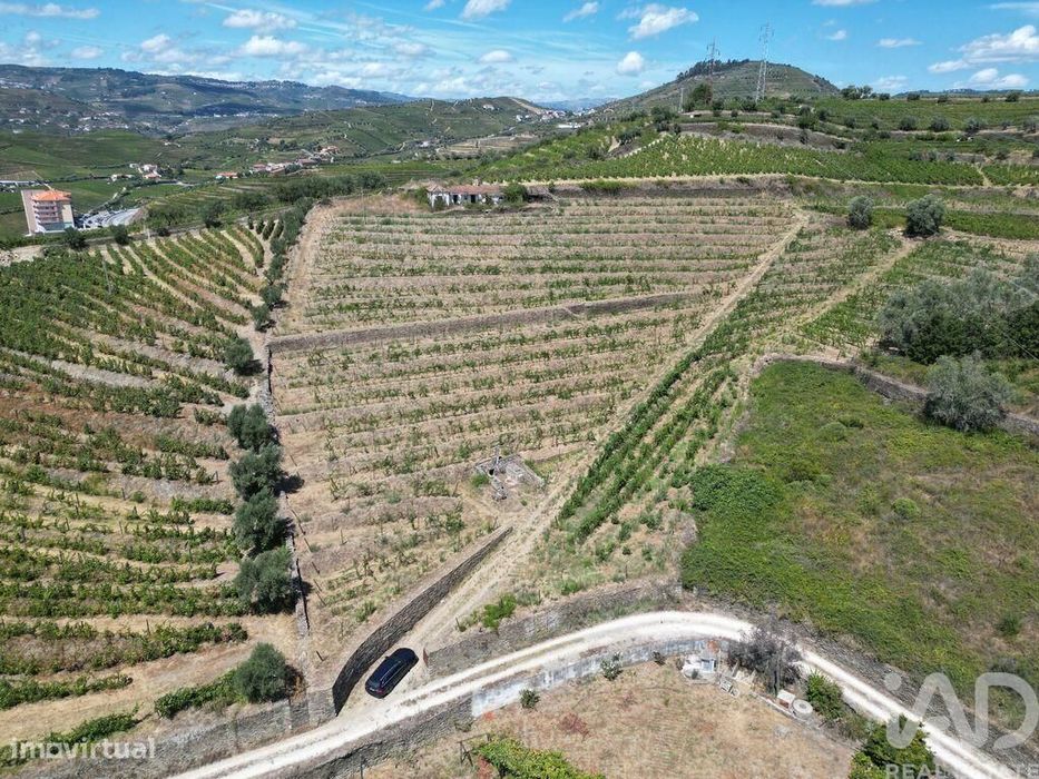 Casa de Campo T4 em Peso da Régua e Godim de 343,00 m2