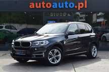BMW X5 Salon Polska! Serwisowany! Zadbany! Bezwypadkowy! F-Vart23%!