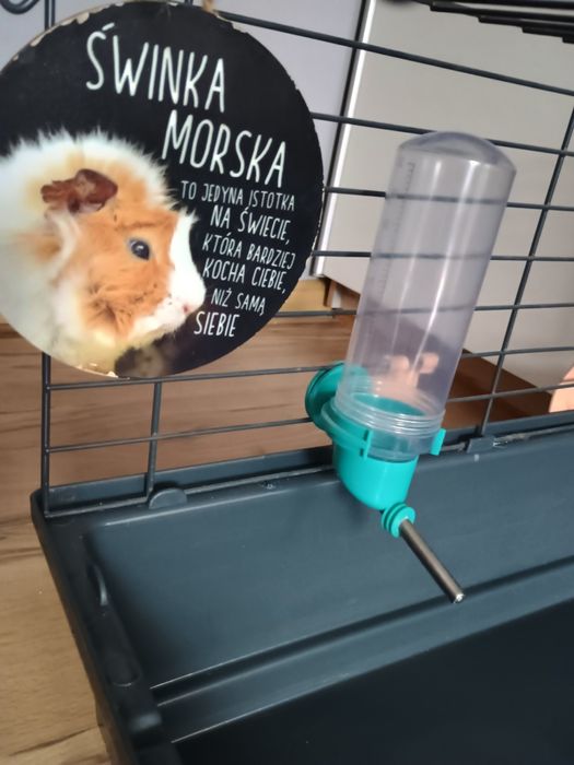 Klatka dla świnki morskiej