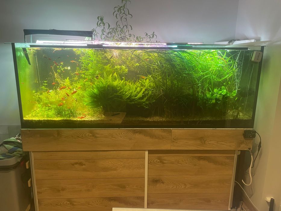 Akwarium 980l na metalowym stelażu