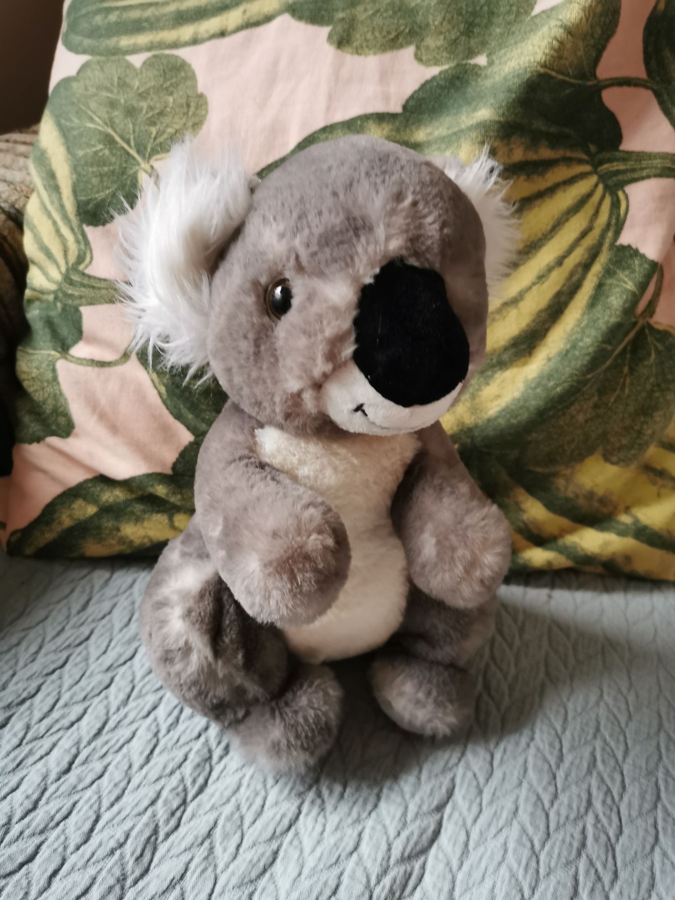 Pluszak miś maskotka koala