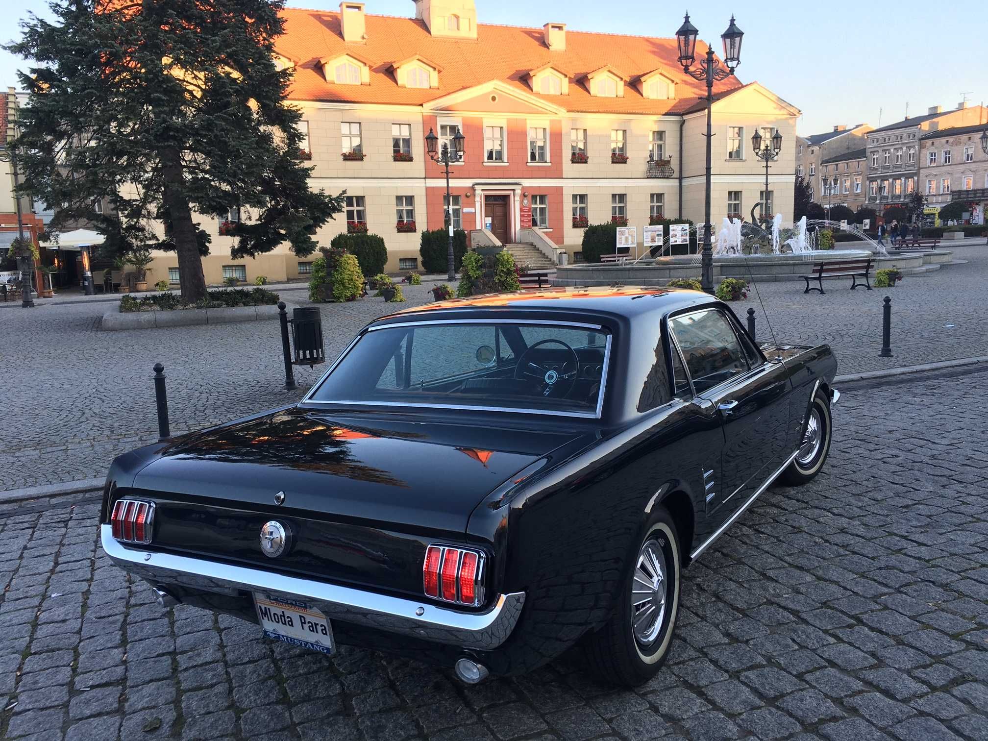 Do Wynajęcia Ford Mustang 1966 ŚLUB Wesele Wynajem