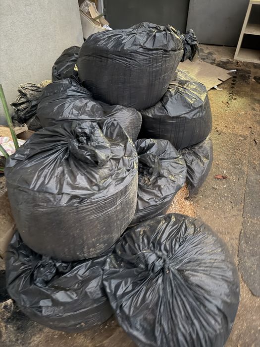 Wióra, trociny i suche drewno debowe