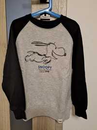 Bluza Zara Snoopy r.128