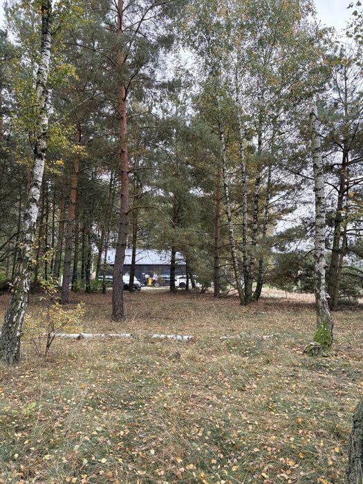 Działka budowlana z WZ