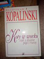 Książka koty w worku czyli z dziejów pojęć i rzeczy kopaliński