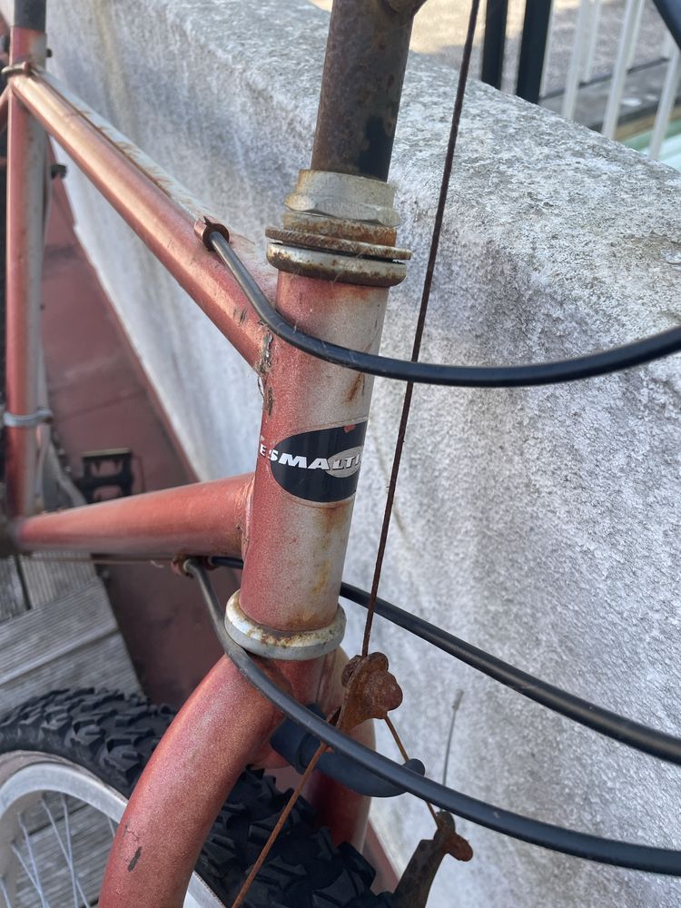 Bicicleta de adulto Esmaltina