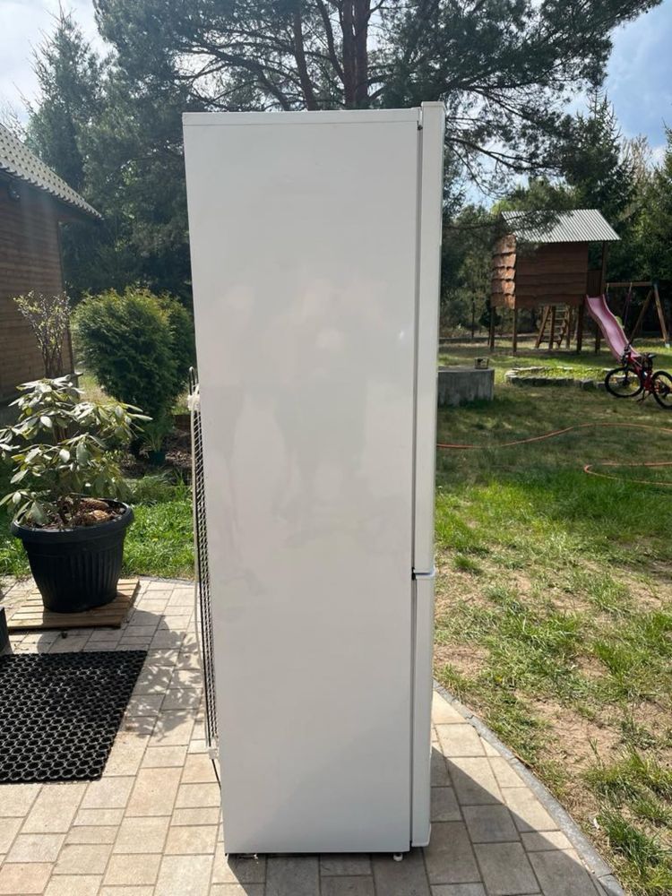 Lodówka marki Beko