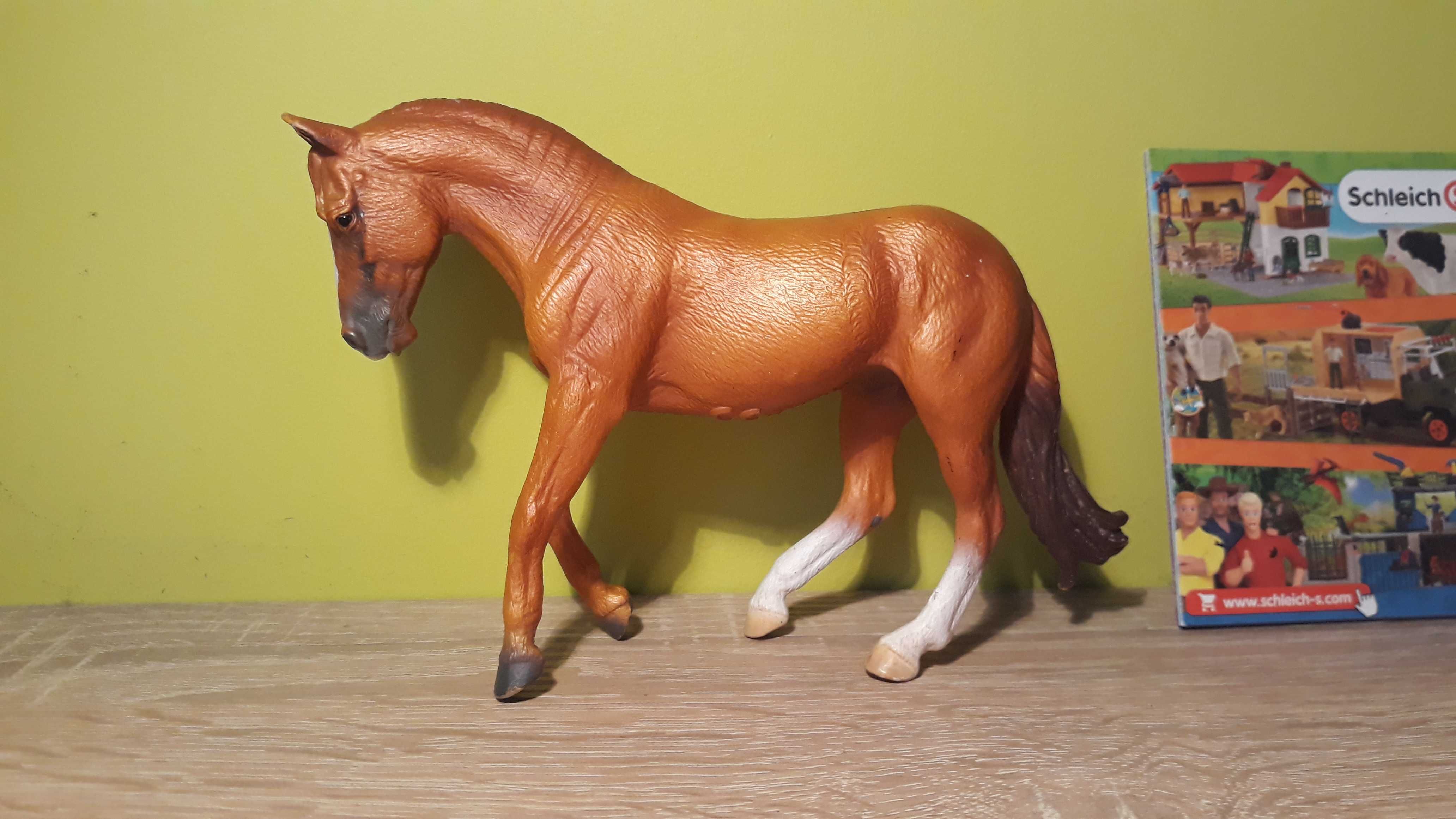 Ogier Australian Stock Horse Collecta 2015 (jak Schleich)