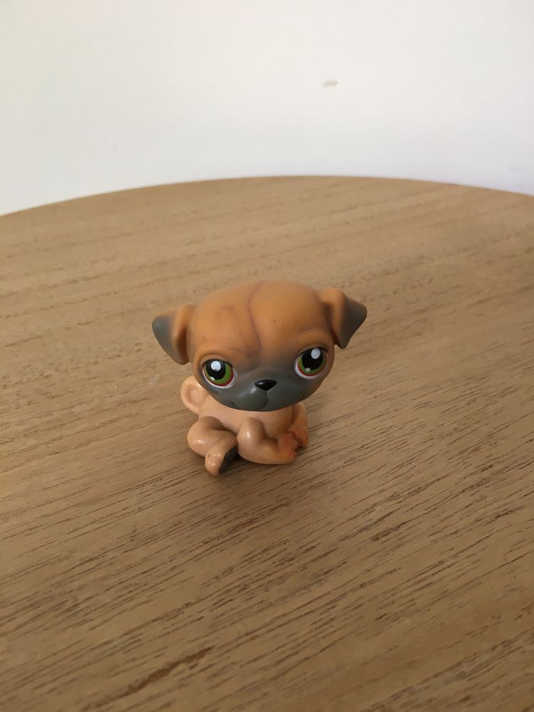 LPS piesek mops hasbro