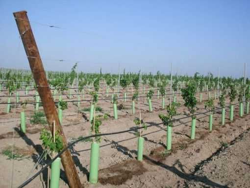 Tuboplant Tubo em plástico ( NOVO)