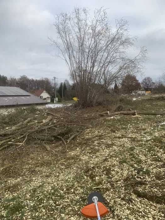 Karczowanie działek, wycinka drzew, czyszczenie pod budowę, sprzedaż