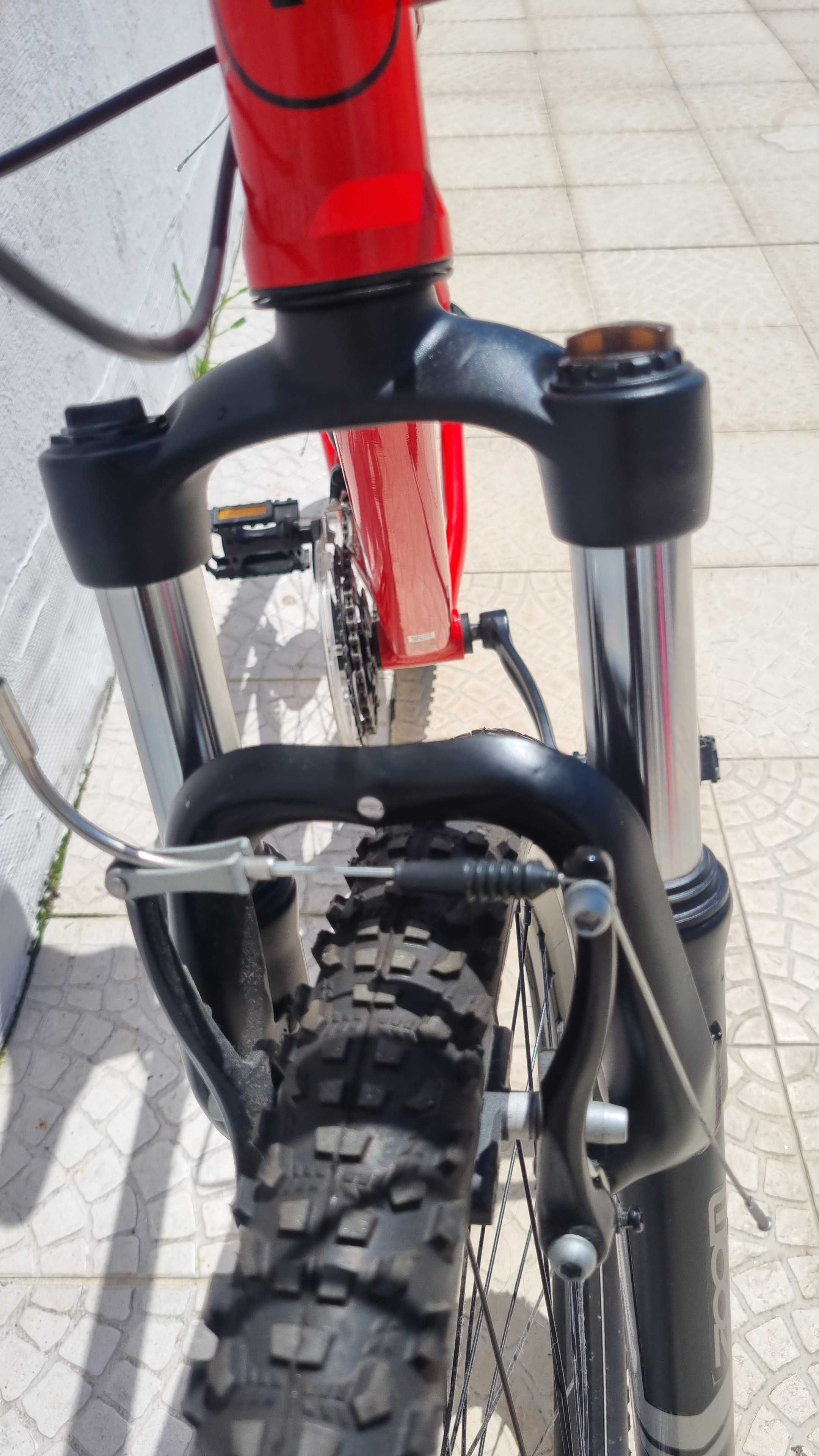 Bicicleta nunca usada
