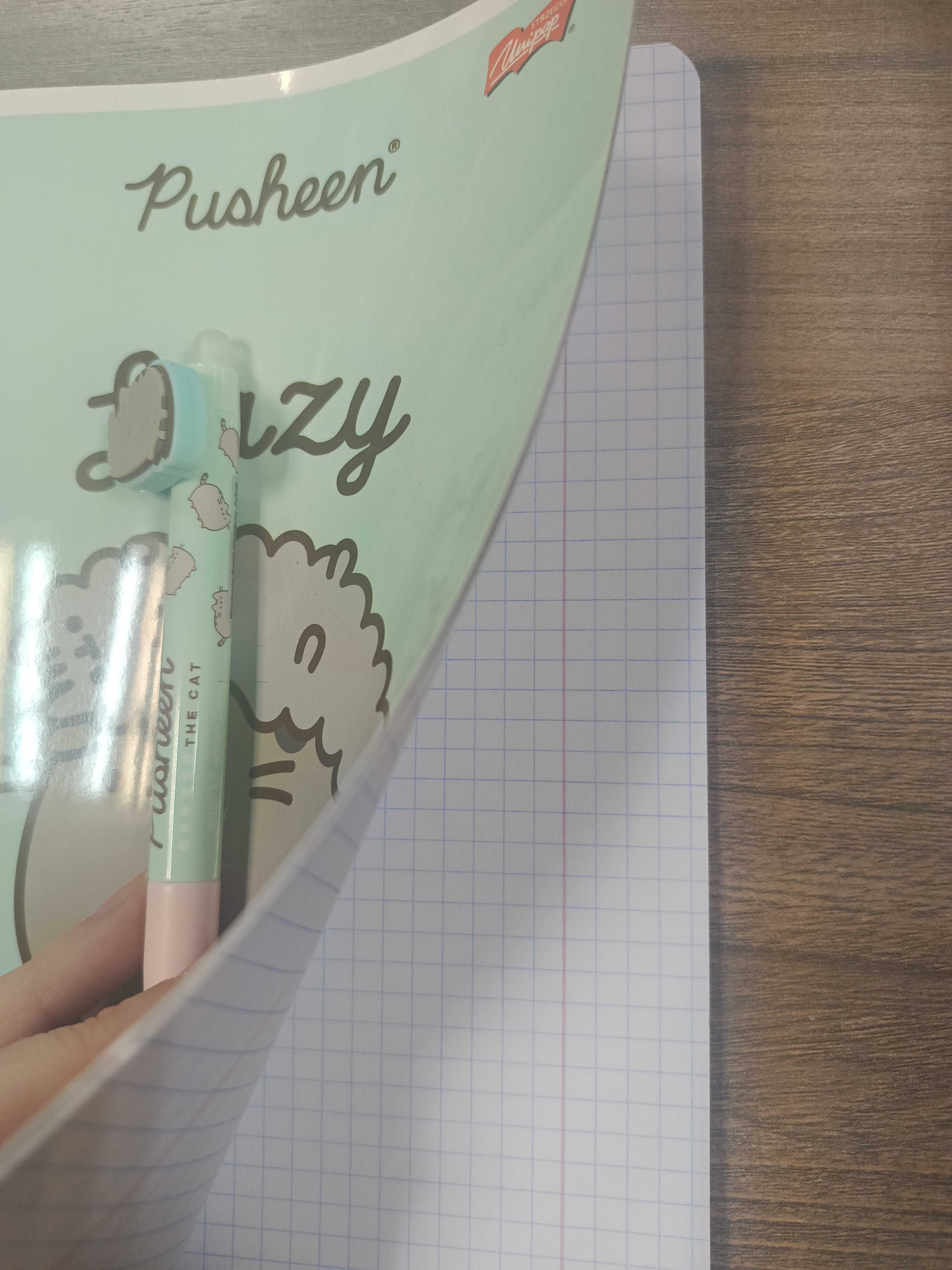 Zeszyt i długopis wymazywany Pusheen