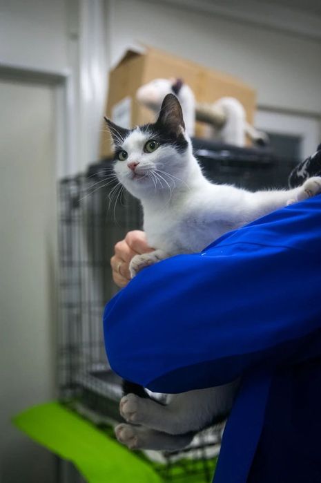 Merida szuka kochającego człowieka