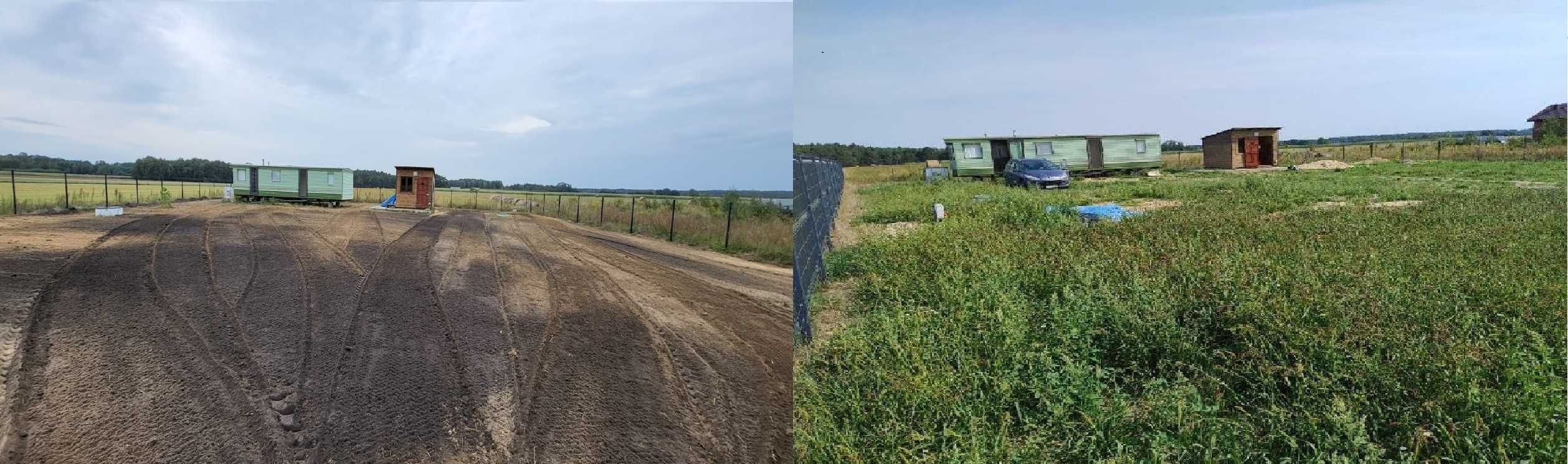 glebogryzarka separacyjna kosiarka ładowarka zamiatarka trawnik