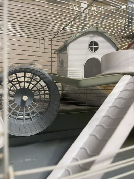 Клетка для хомяка + ПОДАРОК