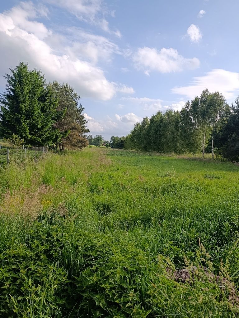 Siedlisko,dom  .1.4ha ziemi