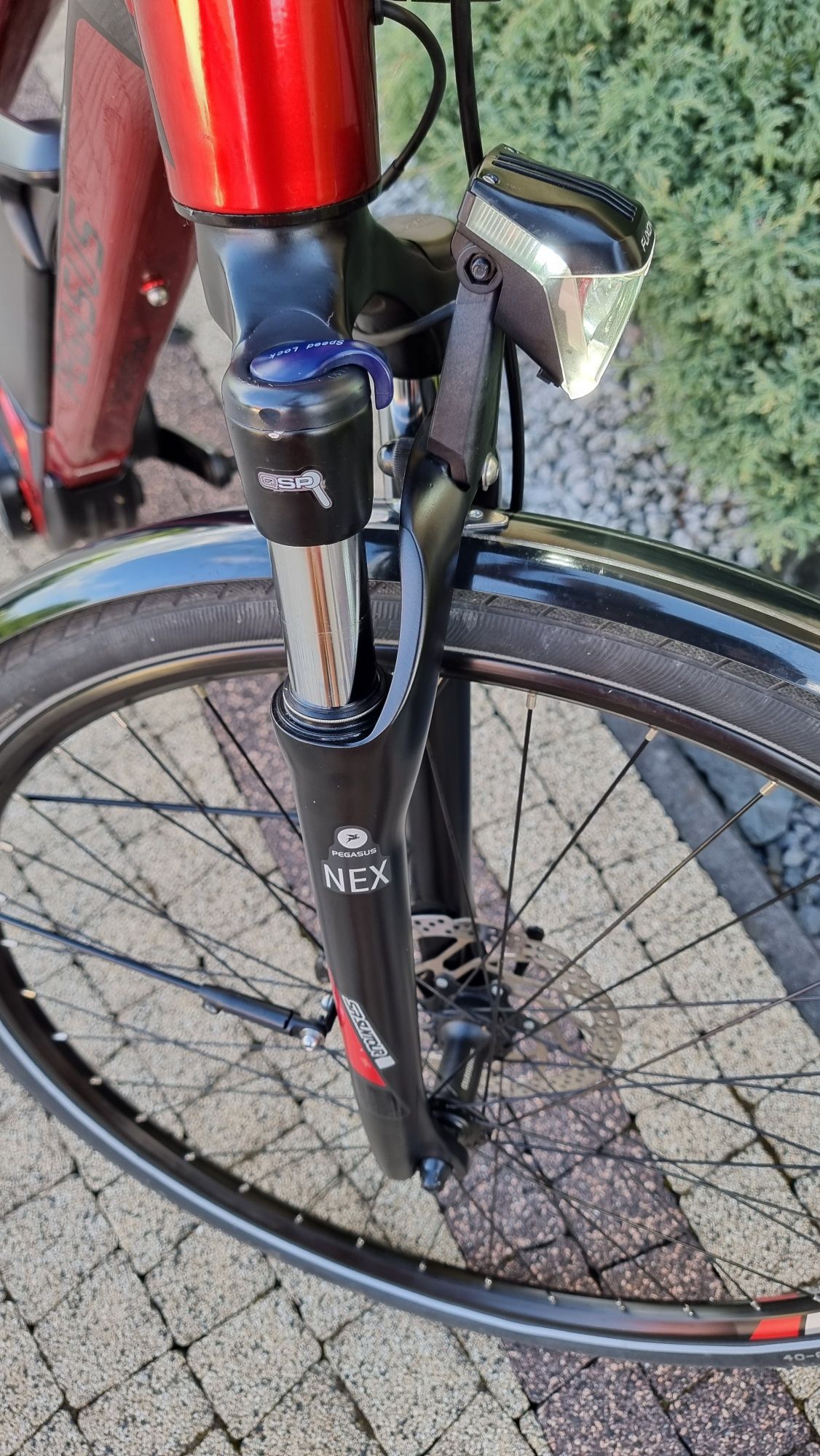 Rower elektryczny E-Bike Pegasus e10 pro Rama S