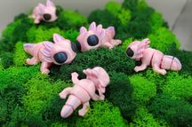 3D-іграшки з рухомими деталями — яскравий подарунок для дітей