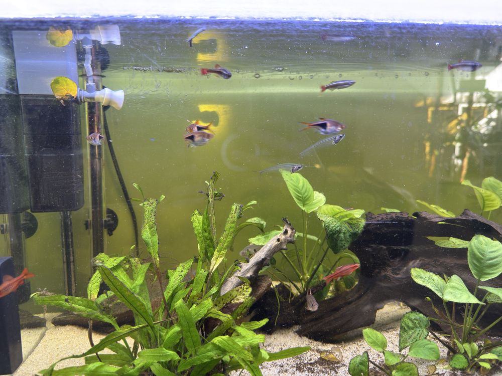 Akwarium 110l z całym sprzętem