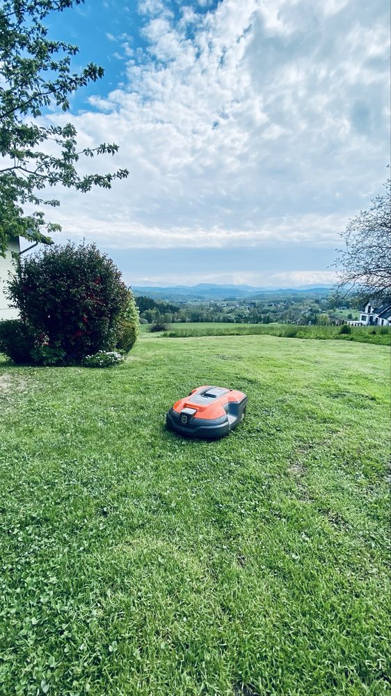 Serwis robot koszący Husqvarna Stalco Cedrus Gardena Worx montaż kabli