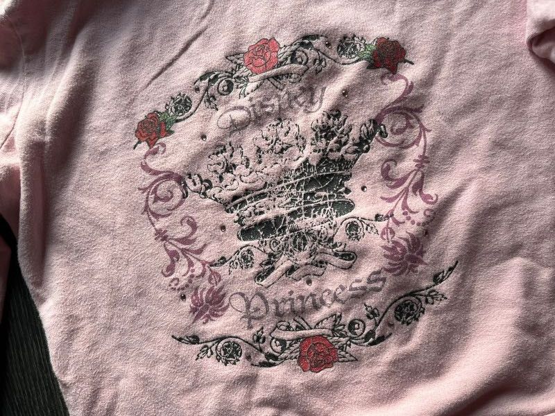 Disneyland Disney Princess róże diamenciki bluza