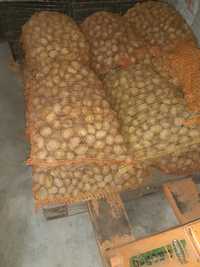 Ziemniaki paszowe