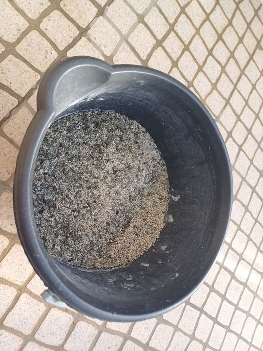 Areao de coral Zanzibar