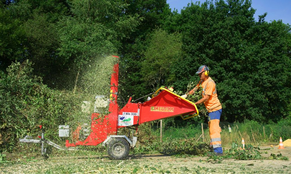 Wycinka drzew metodą alpinistyczną