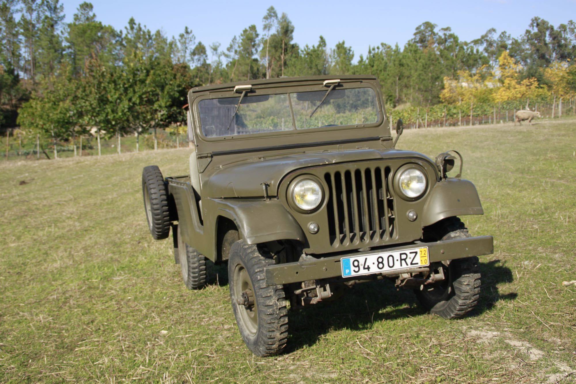 Jeep Willys Militar