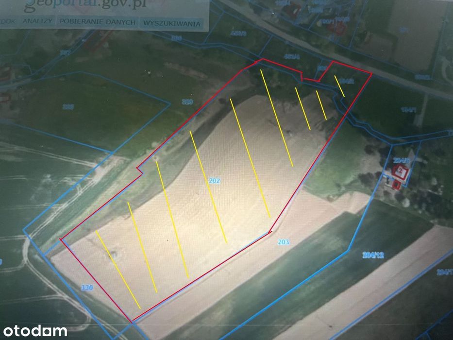 Działka 2,12 ha , Szalejów Górny , Wolany ,Polanica Zdrój , Kłodzko