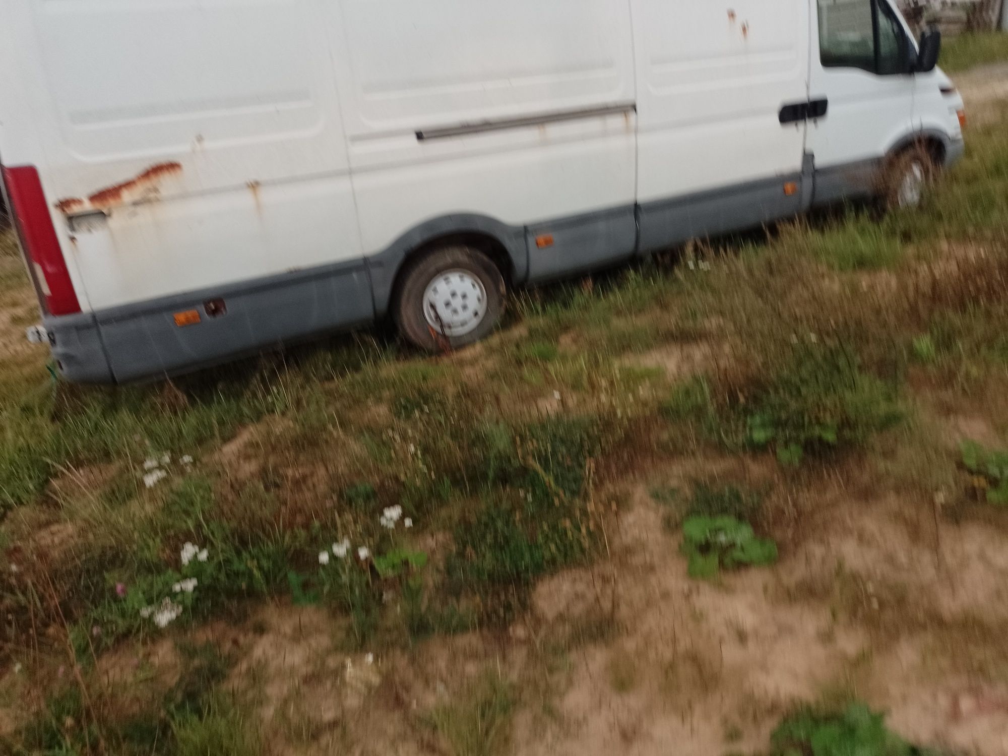 Wszystkie części Iveco daily