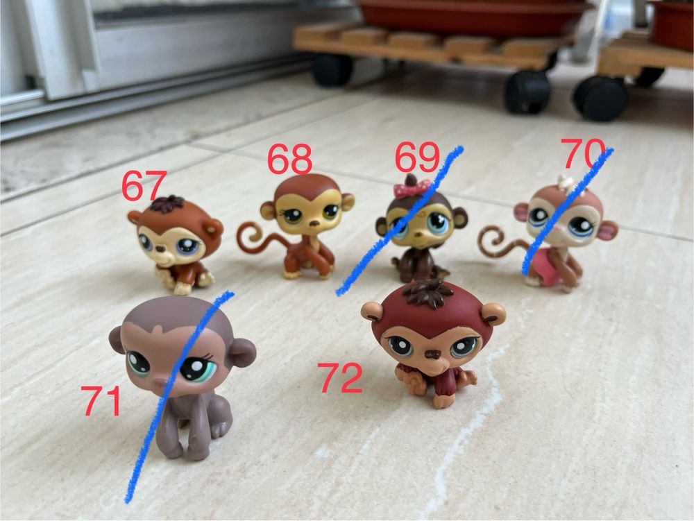 Little pet shops