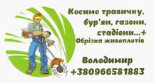 Косіння трави, догляд за газонами, садами, стадіонами