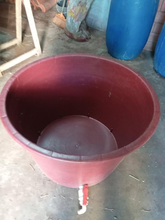 Vassa de virar os bagos e uvas