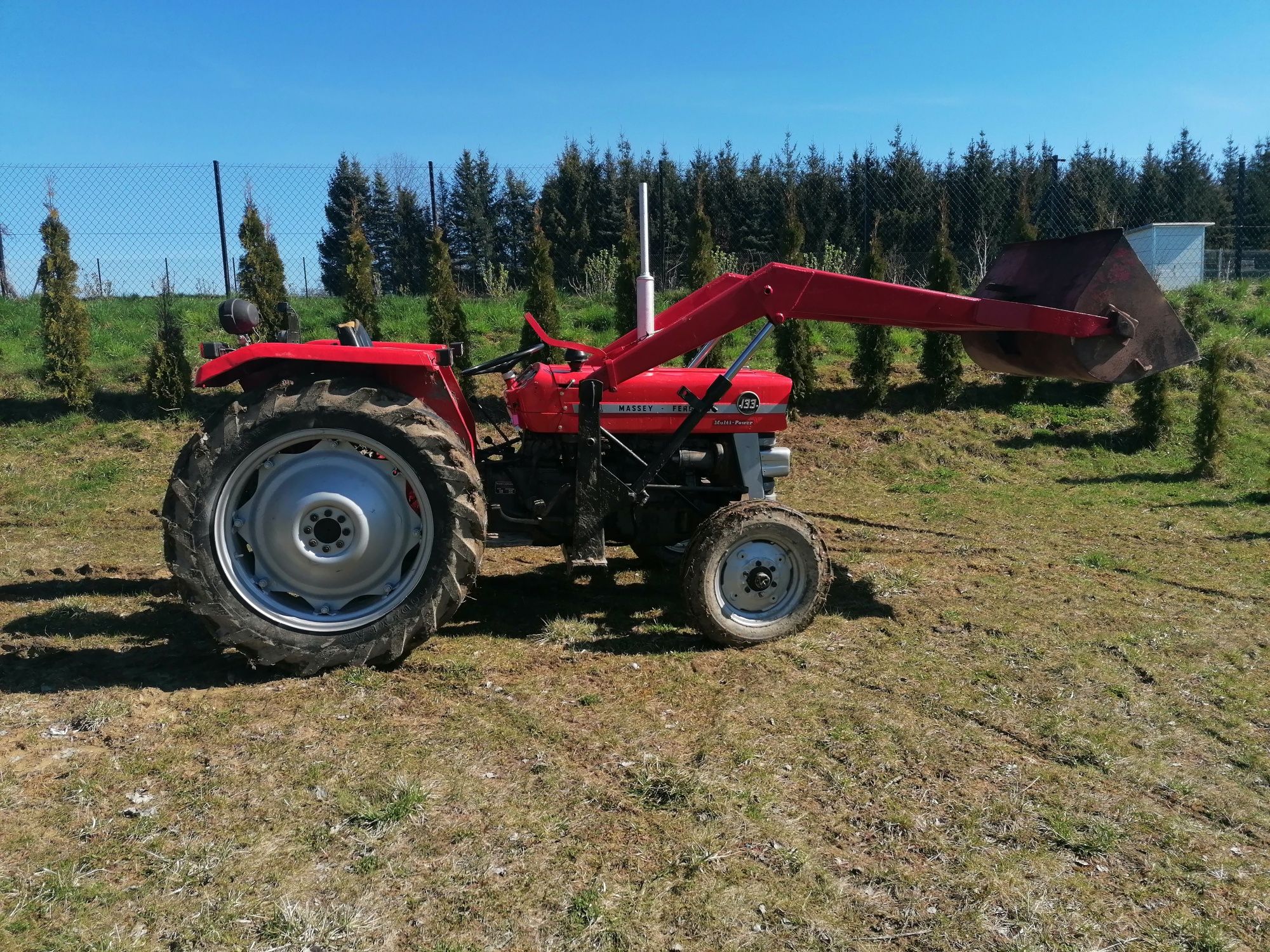 Massey Ferguson 133 (245/255)