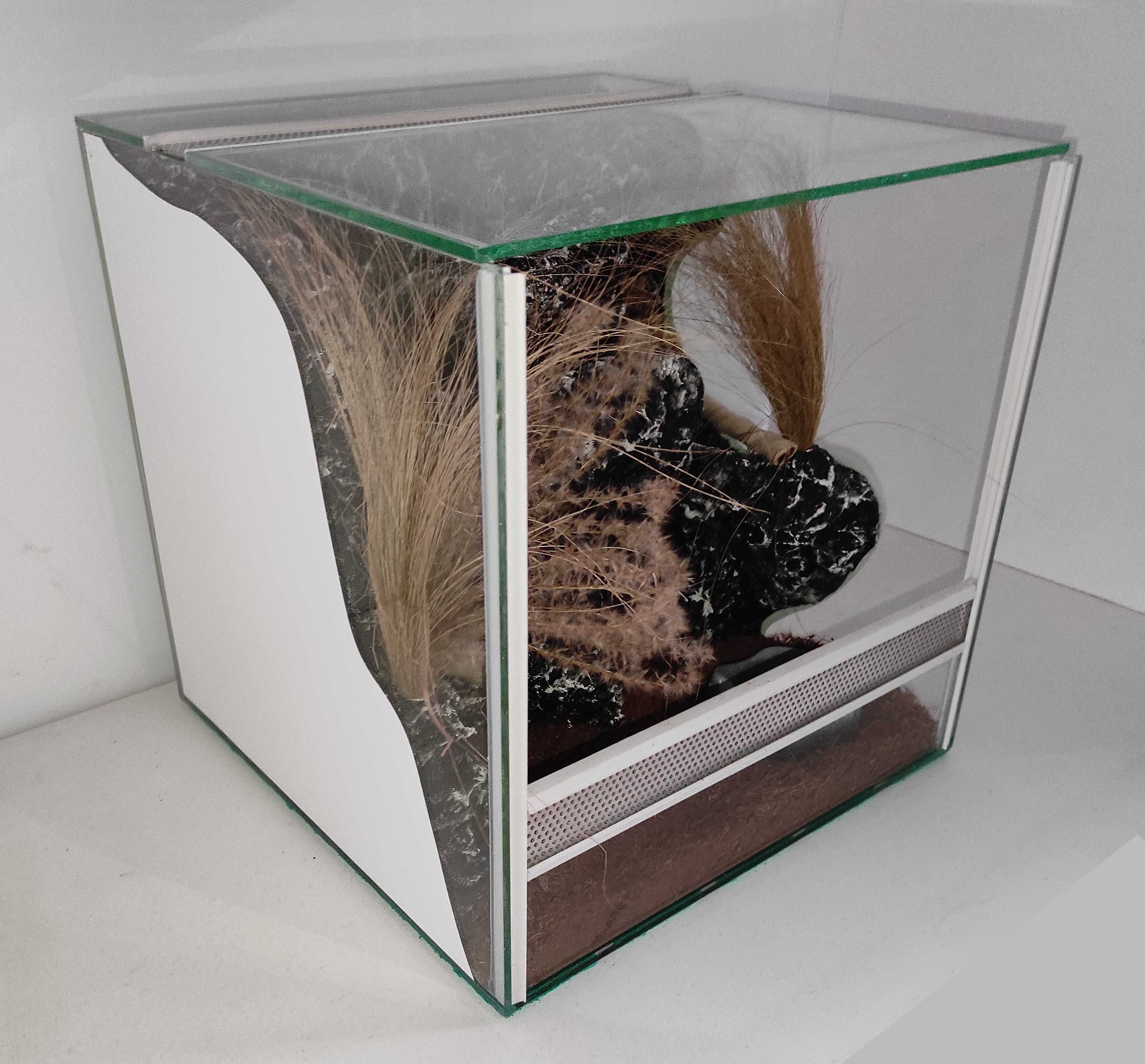 Terrarium dla ptasznika, TW49ST, AquaWaves