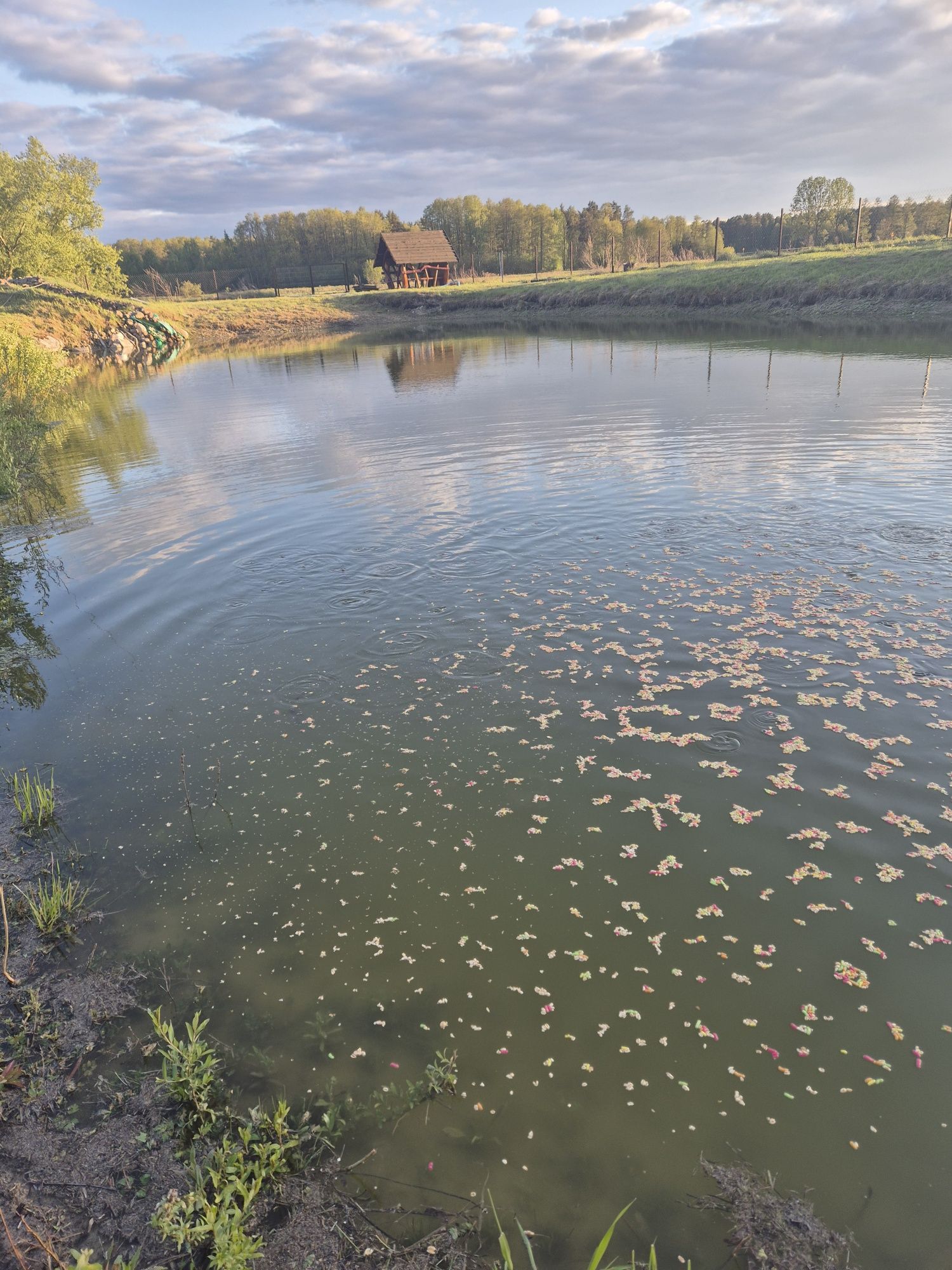 SIEDLISKO pod lasem na Podlasiu