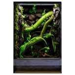Terrarium tropikalne 40x40x60
