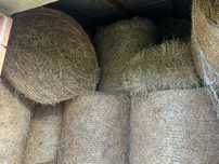 Siano w belach 120/120