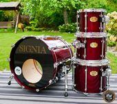 Perkusja Premier Signia Maple 20", 10", 12", 14" Cherry ‼️
