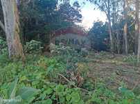 Terreno  para venda