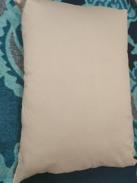 Подушка пір'їва, після чистки