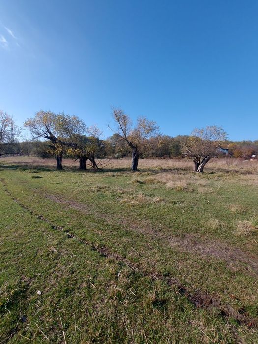 Продам участок 78 соток Царское село