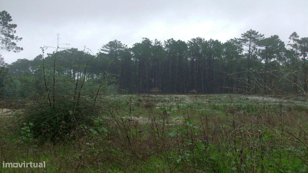 Terreno  Venda em Souto da Carpalhosa e Ortigosa,Leiria