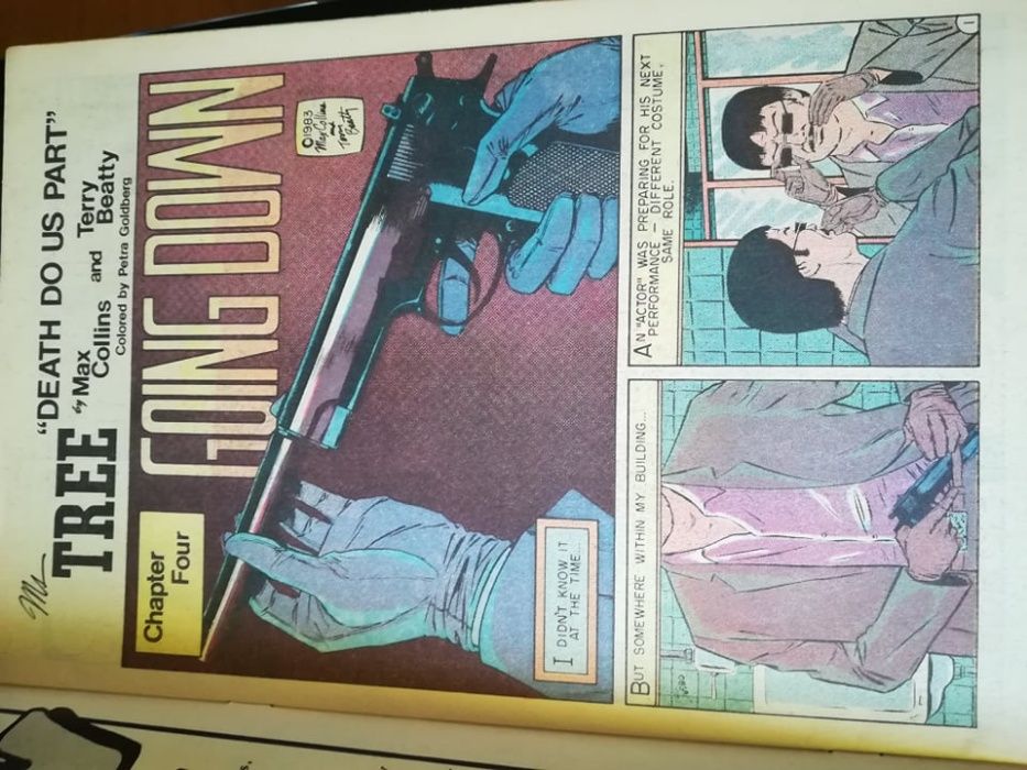 Ms. Tree Thrilling Detective Adventures #2 - Banda Desenhada 1983